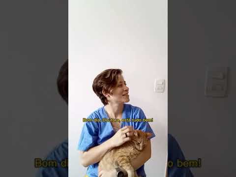 auxiliar de veterinaria quito