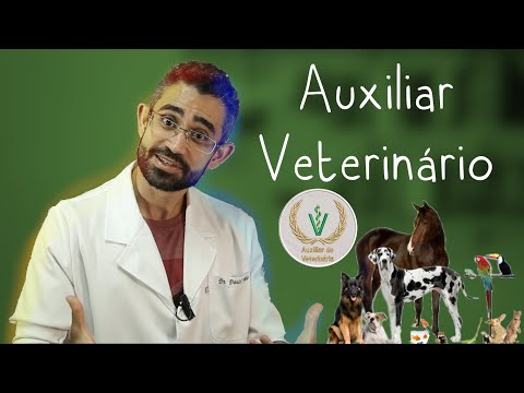 auxiliar de veterinaria pereira