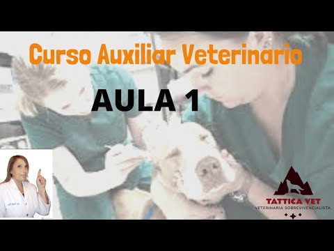 auxiliar de veterinaria online gratis