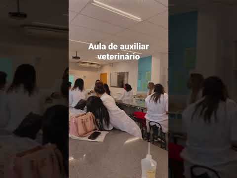 auxiliar de veterinaria cucuta