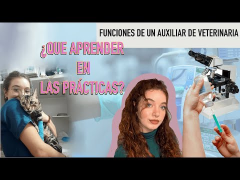 manual de funciones de un auxiliar de veterinaria