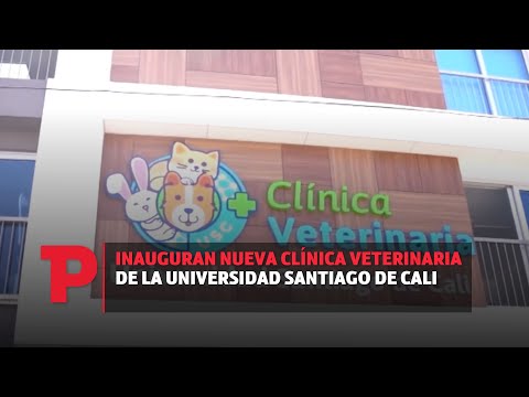 auxiliar de veterinaria universidad santiago de cali