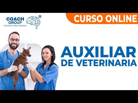 auxiliar de veterinaria guayaquil