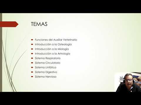 curso de auxiliar de veterinaria online gratis