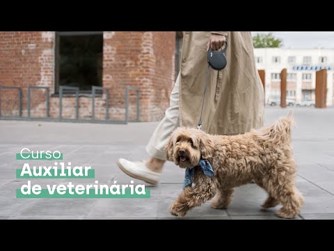 auxiliar de veterinaria galicia