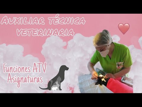 asignaturas auxiliar de veterinaria